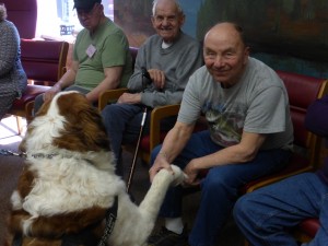 therapy dog visit